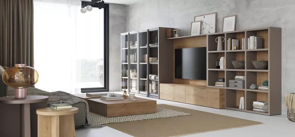 Conjuntos de mueble de salón (Mueble TV + muebles auxiliares)